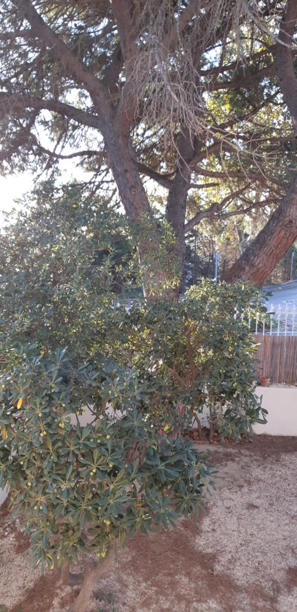 Le Mas Palegry Chambres D'Hotes Perpignan Zewnętrze zdjęcie